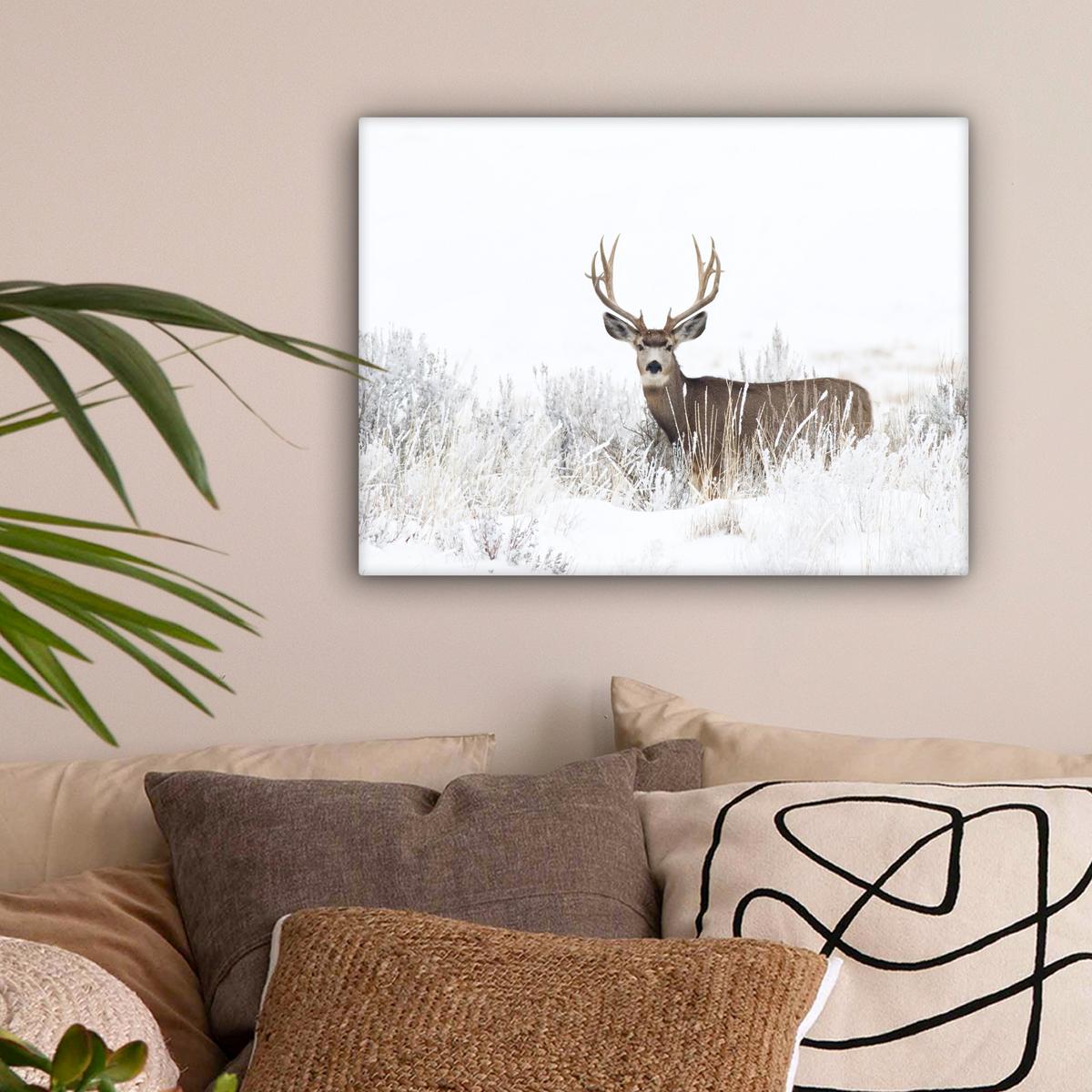 LEINWANDBILD Hirsche - Winter - Schnee - Tiere - Jahreszeiten - Weiß Wandbild 40x30 cm - Hellbraun, Textil (40/30cm) - MuchoWow