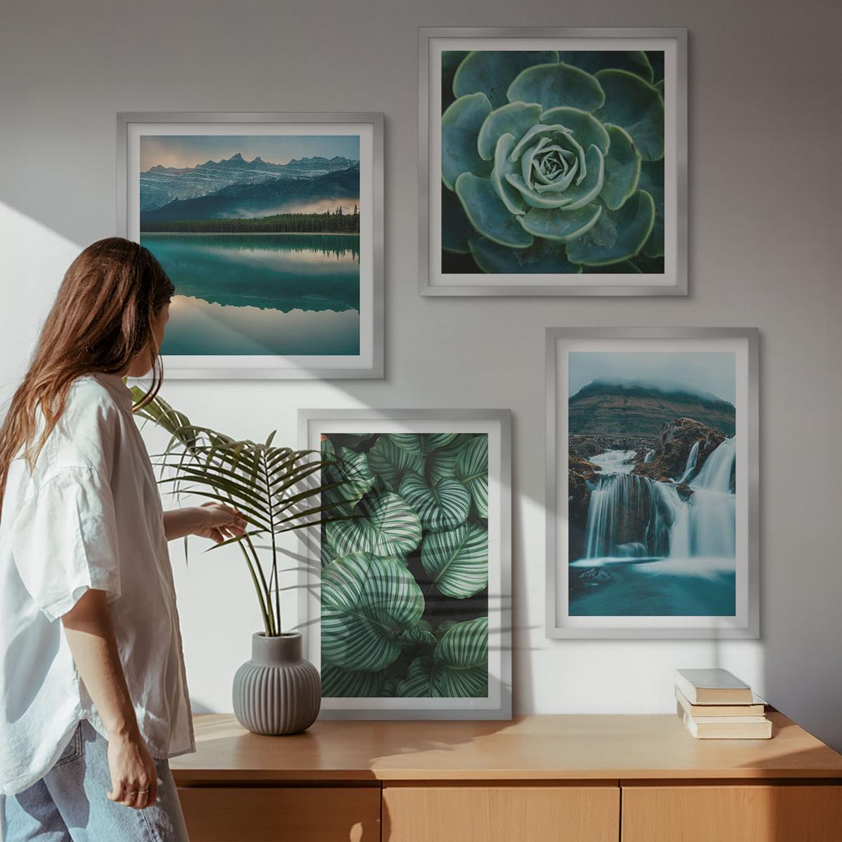 BILDER SET 4er Set - 50x50 cm & 40x60 cm Silberner Rahmen - Nahaufnahmen von Blättern sukkulenter Pflanzen - Silberfarben, Kunststoff (50/50cm) - TULUP