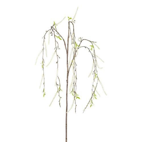 MŰNÖVÉNY AMARANTHUS CSEPEL OUTLET