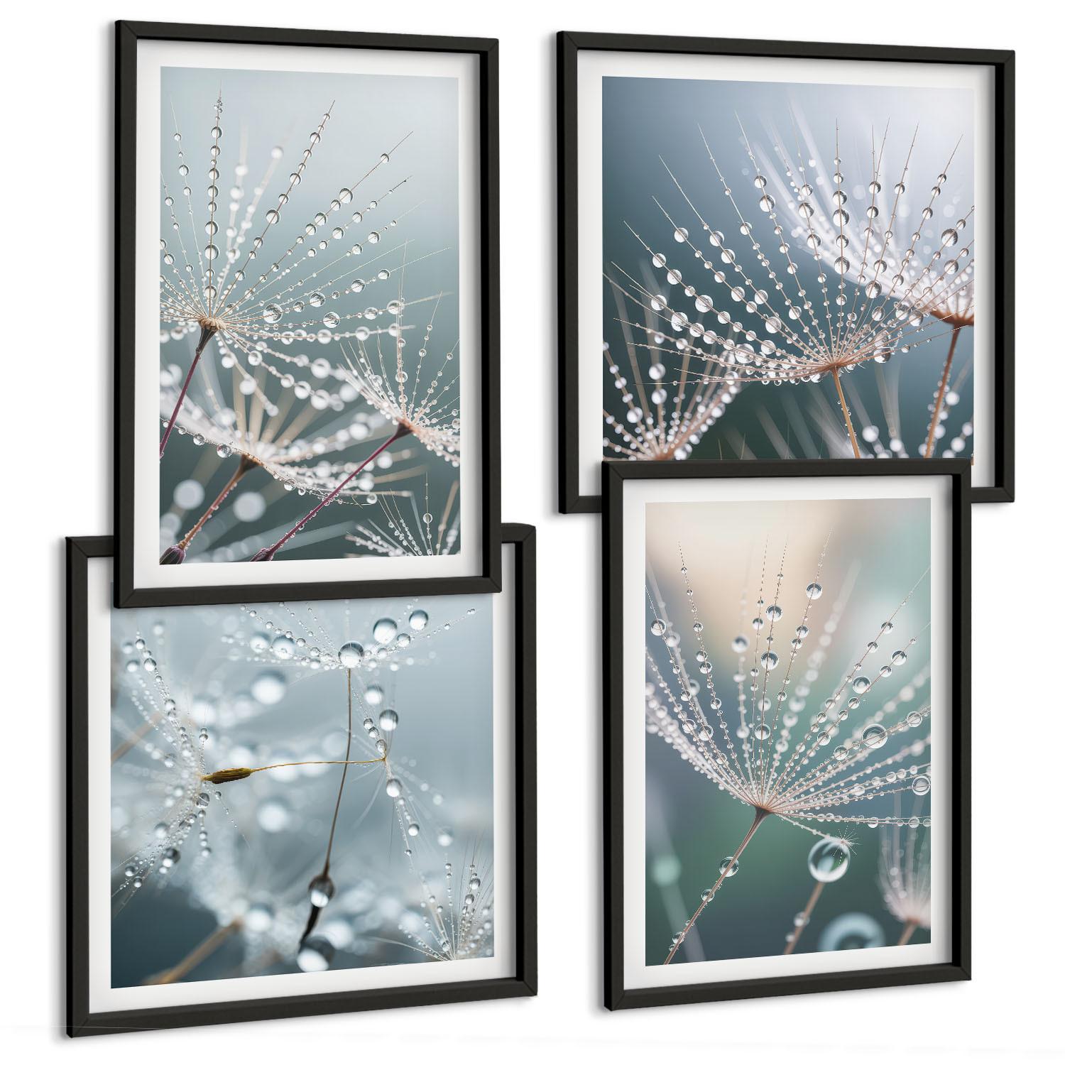 BILDER SET 4er Set - 50x50 cm & 40x60 cm Schwarzer Rahmen - Wassertropfen auf Löwenzahnsprossen - Schwarz, Kunststoff (50/50cm) - TULUP