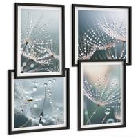 BILDER SET 4er Set - 50x50 cm & 40x60 cm Schwarzer Rahmen - Wassertropfen auf Löwenzahnsprossen - Schwarz, Kunststoff (50/50cm) - TULUP