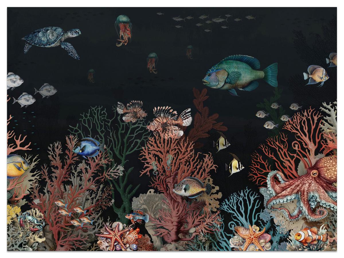 FOTOTAPETE für Badezimmer Bunter Unterwasser Pflanzen Riff Fische 500x350 - Rot/Schwarz, Papier (500/350cm) - Muralo