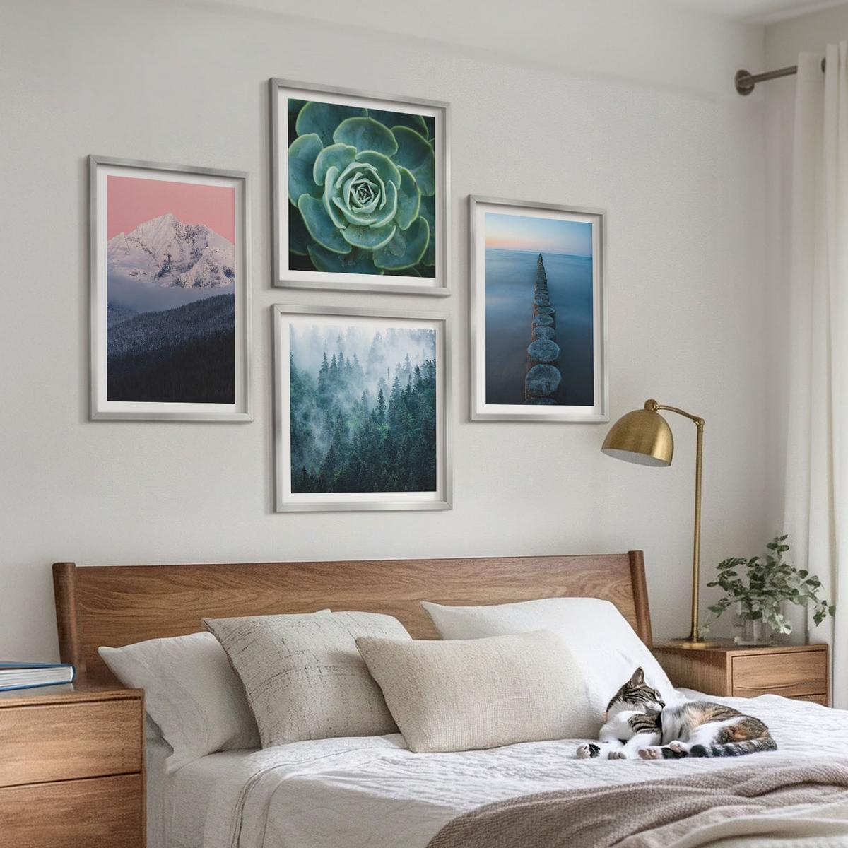 BILDER SET 4er Set - 50x50 cm & 40x60 cm Silberner Rahmen - Berge, rosa Himmel, Wasser, Sukkulente - Silberfarben, Kunststoff (50/50cm) - TULUP