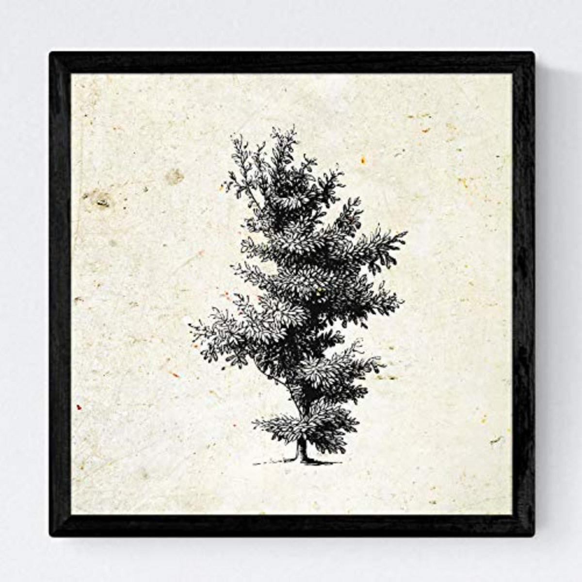 POSTER Set mit 4 Bädern Bäume variierten Jahrgang Hintergrund 30x30 cm Rahmenlos - Klar, Papier (30/3cm) - Nacnic