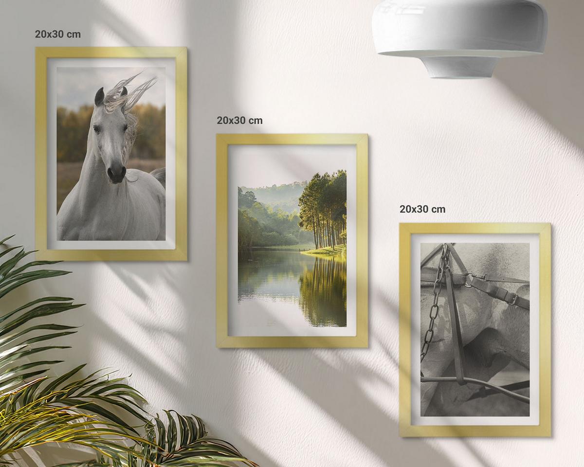 BILDER SET 3er Set - 20x30 cm Goldrahmen - Natur des Flusses White Horses - Goldfarben, Kunststoff (20/30cm) - TULUP