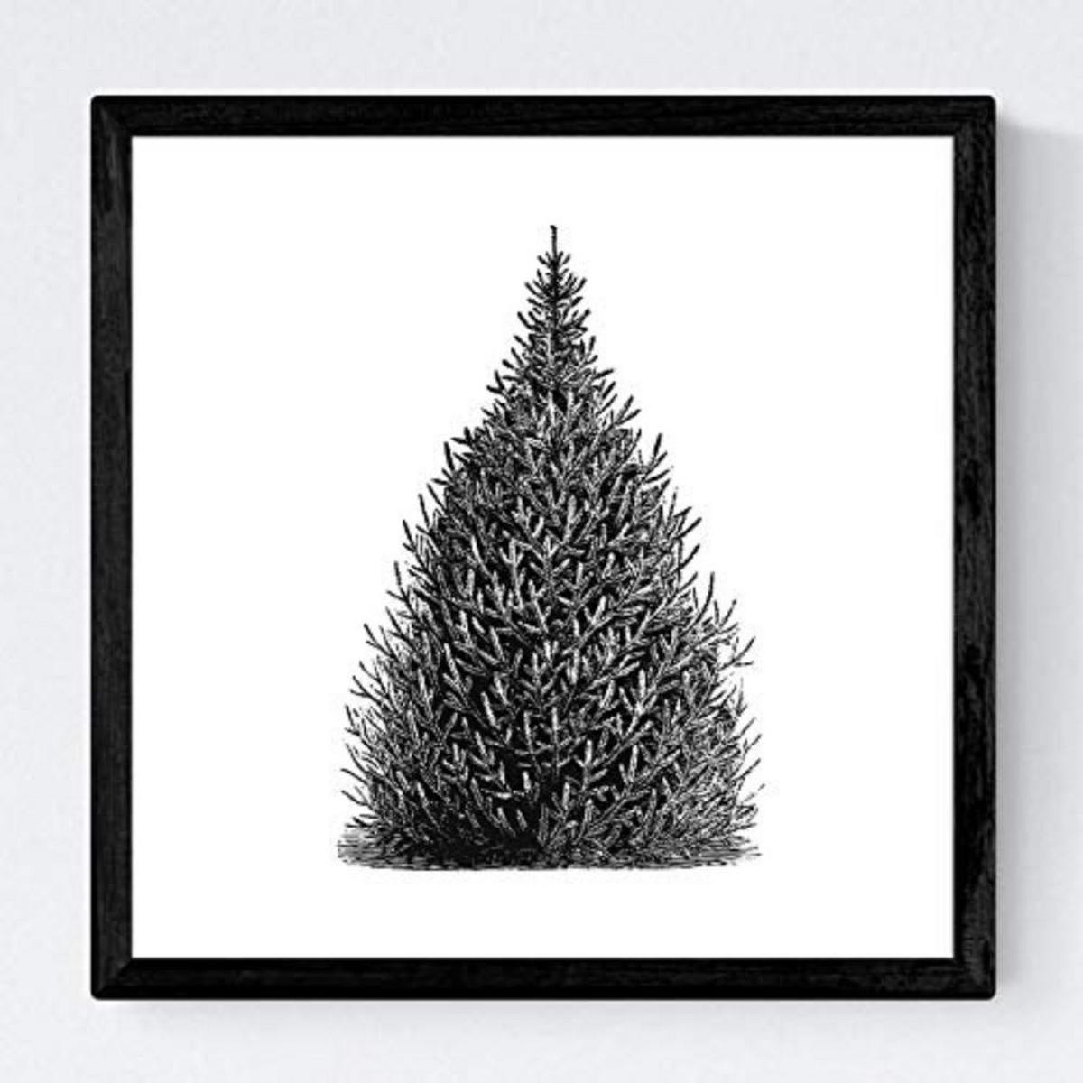 POSTER Set mit 4 Bädern Bäume und Sträucher weißer Hintergrund 20x20cm Schwarzer Rahmen - Schwarz, Papier (20/3cm) - Nacnic