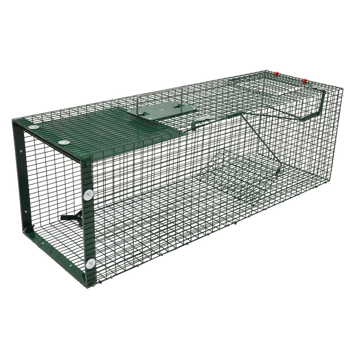 MOORLAND Safe 5002 Lebendfalle 30x30x90 cm – 1 Eingang, 1,8 mm Drahtgitter (RAL 6005) - Grün, Holz (30/30/90cm) - Moorland