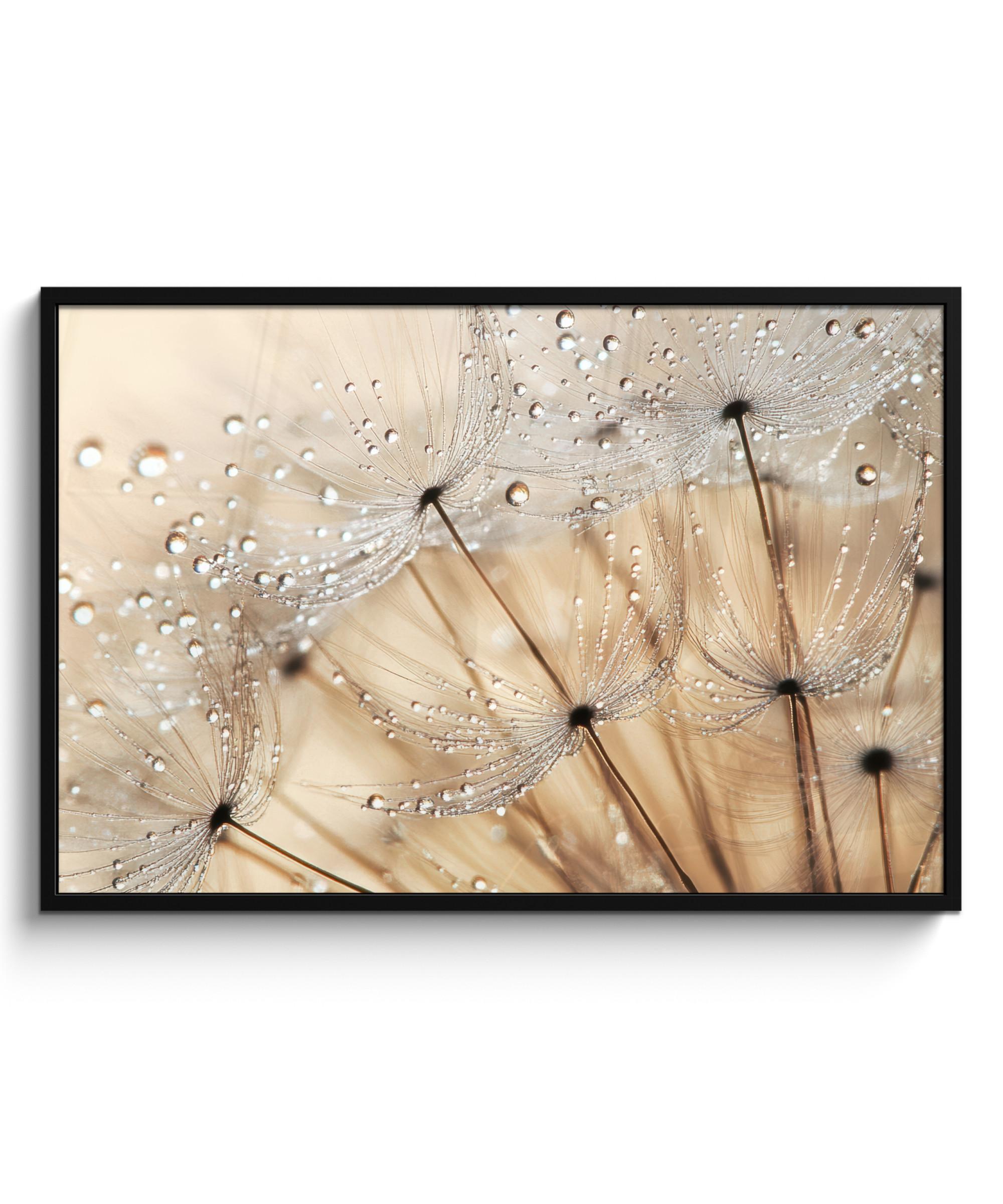 POSTER MIT RAHMENGERAHMTES BILD Löwenzahn - Abstrakt - Natur - Beige 120x80 cm - Braun, Papier (120/80cm) - MuchoWow