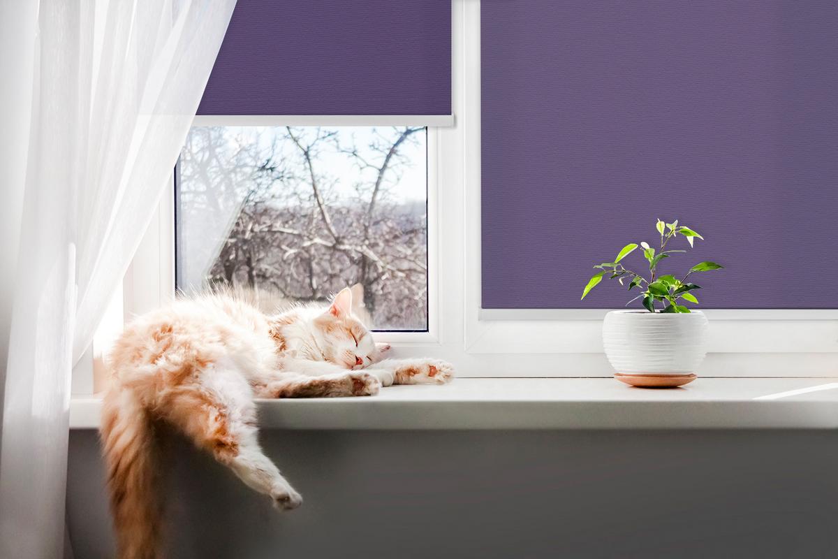INNENROLLO - Fensterrollo - Rollo - 90x180 cm - Lila - Violett, Kunststoff (90/180/0.5cm) - TULUP
