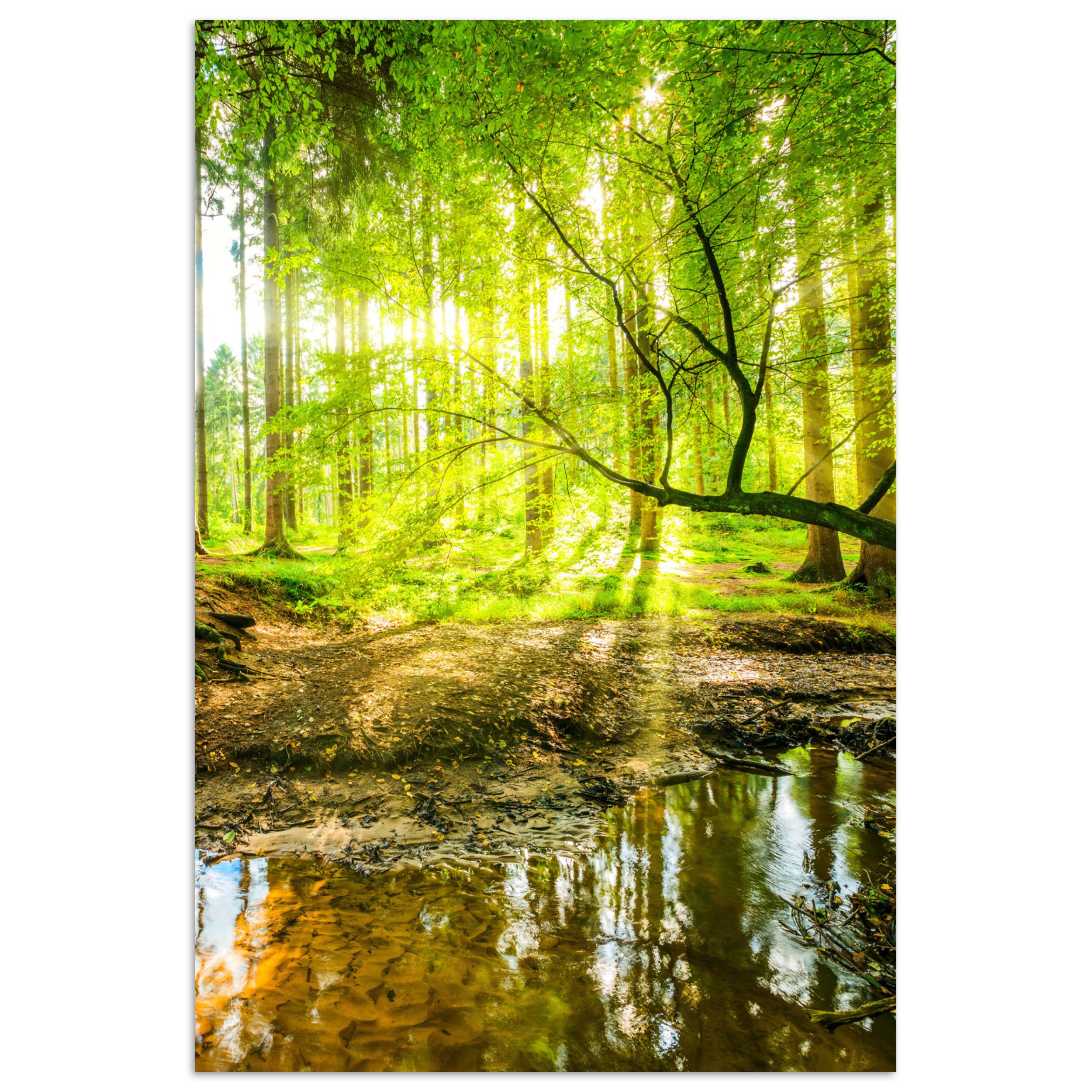 POSTER Wald - Landschaft - Wasser - Bäume - Sonne - Grün - Natur Wanddeko 40x60 cm - Grün, Papier (40/60/0.1cm) - MuchoWow