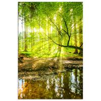 POSTER Wald - Landschaft - Wasser - Bäume - Sonne - Grün - Natur Room Decor 20x30 cm - Grün, Papier (20/30/0.1cm) - MuchoWow