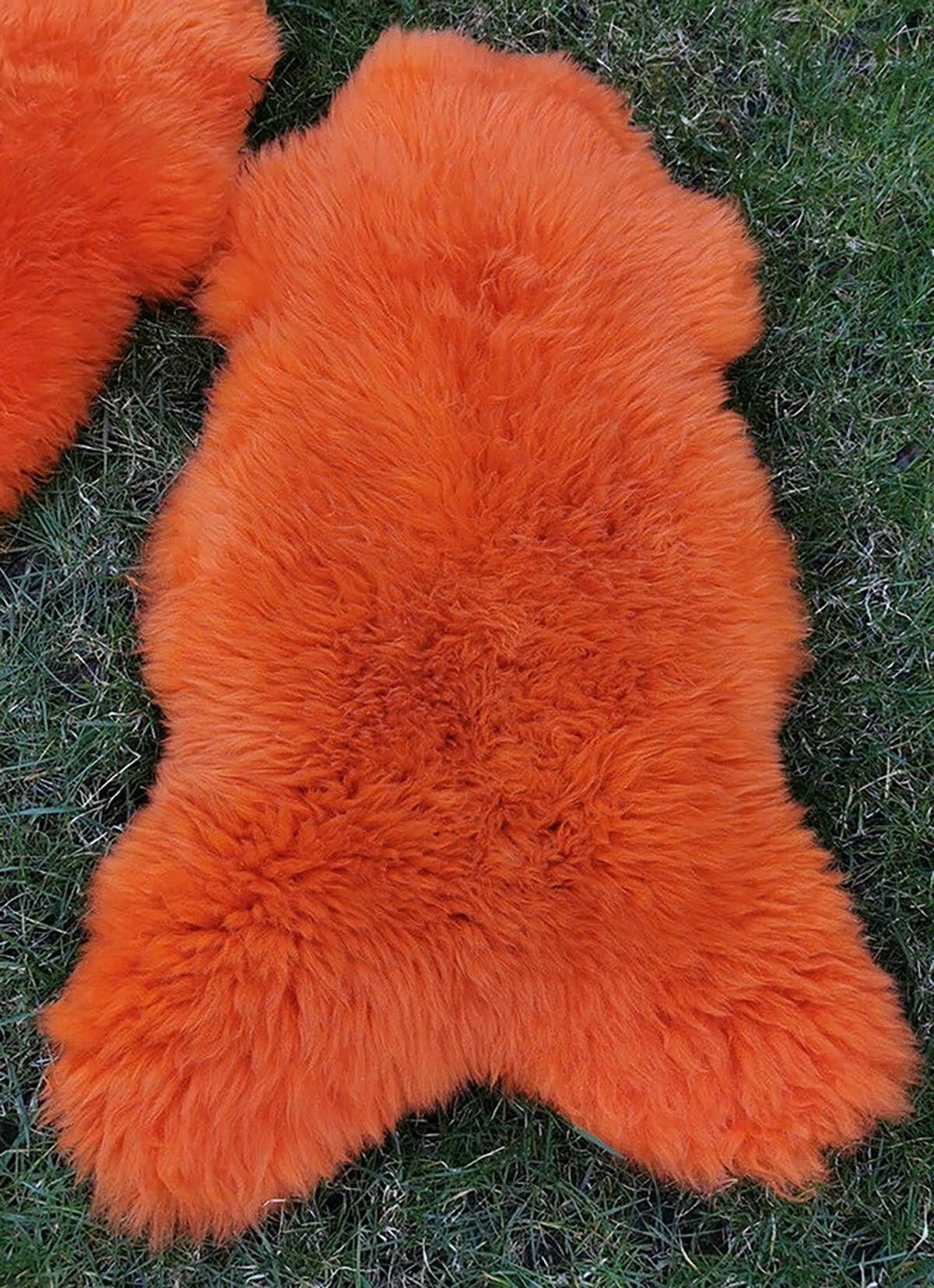 LAMMFELL Öko bunt gefärbt weich Fell Teppich Orange ca. 110 cm - Orange, Fell (60/110cm) - Provellus