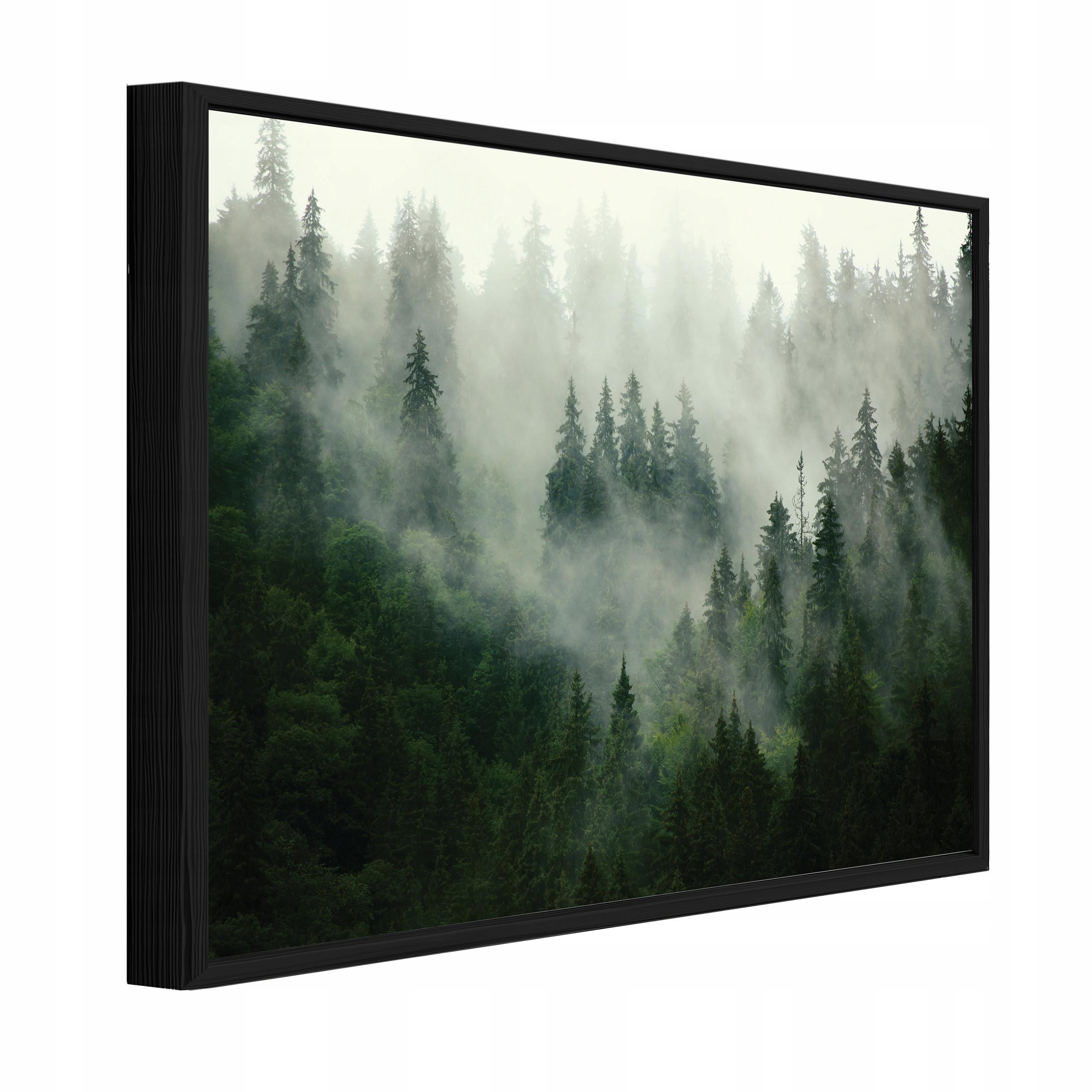BILDER mit Rahmen Wald Nebel Grün 100x70 cm - Multicolor, Holzwerkstoff (100/70cm) - Wallarena