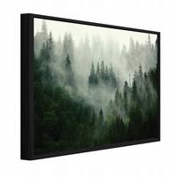 BILDER mit Rahmen Wald Nebel Grün 100x70 cm - Multicolor, Holzwerkstoff (100/70cm) - Wallarena