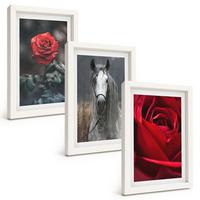 BILDER SET 3er Set - 20x30 cm Weißer Rahmen - Rote Rosen, Pferdegrau, Welt - Weiß, Kunststoff (20/30cm) - TULUP