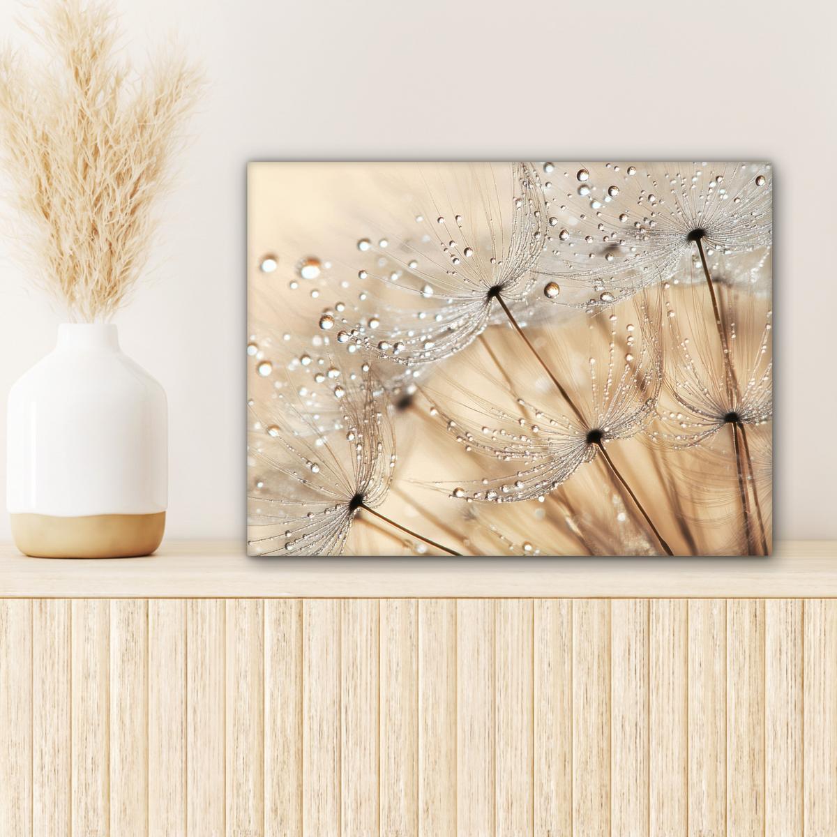 LEINWANDBILD Löwenzahn - Abstrakt - Natur - Beige Wandbild 40x30 cm - Braun, Textil (40/30cm) - MuchoWow