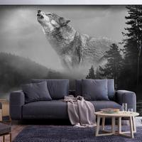 SELBSTKLEBENDE FOTOTAPETE 147/105 cm - Schwarz, Kunststoff/Textil (147/1cm) - KUNSTLOFT