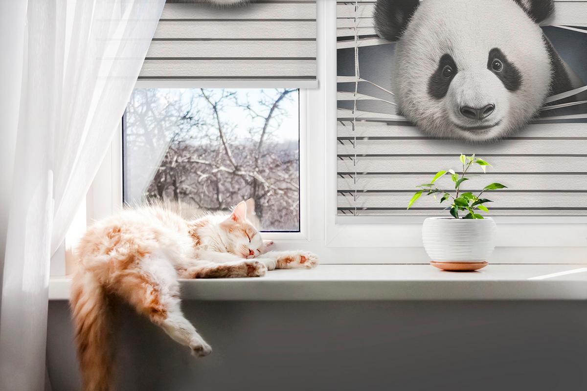INNENROLLO - Fensterrollo - Rollo - 70x140 cm - Panda - Grau, Kunststoff (70/140/0.5cm) - TULUP
