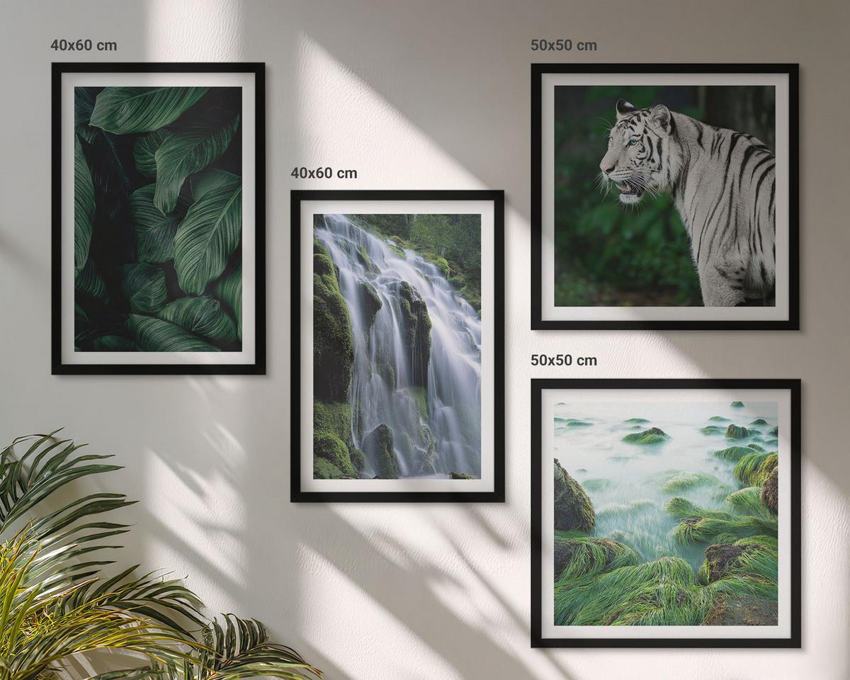 BILDER SET 4er Set - 50x50 cm & 40x60 cm Schwarzer Rahmen - Blätter des Weißen Tigerwasserfalls - Schwarz, Kunststoff (50/50cm) - TULUP
