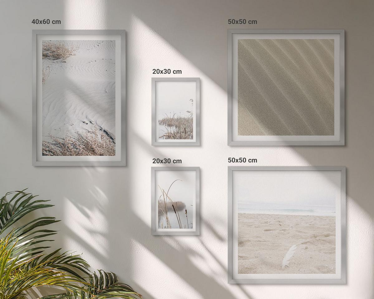 BILDER SET 5er Set - 50x50 cm & 20x30 cm & 40x60 cm Silberner Rahmen - Vegetation am Wasser im Sommer - Silberfarben, Kunststoff (40/60cm) - TULUP
