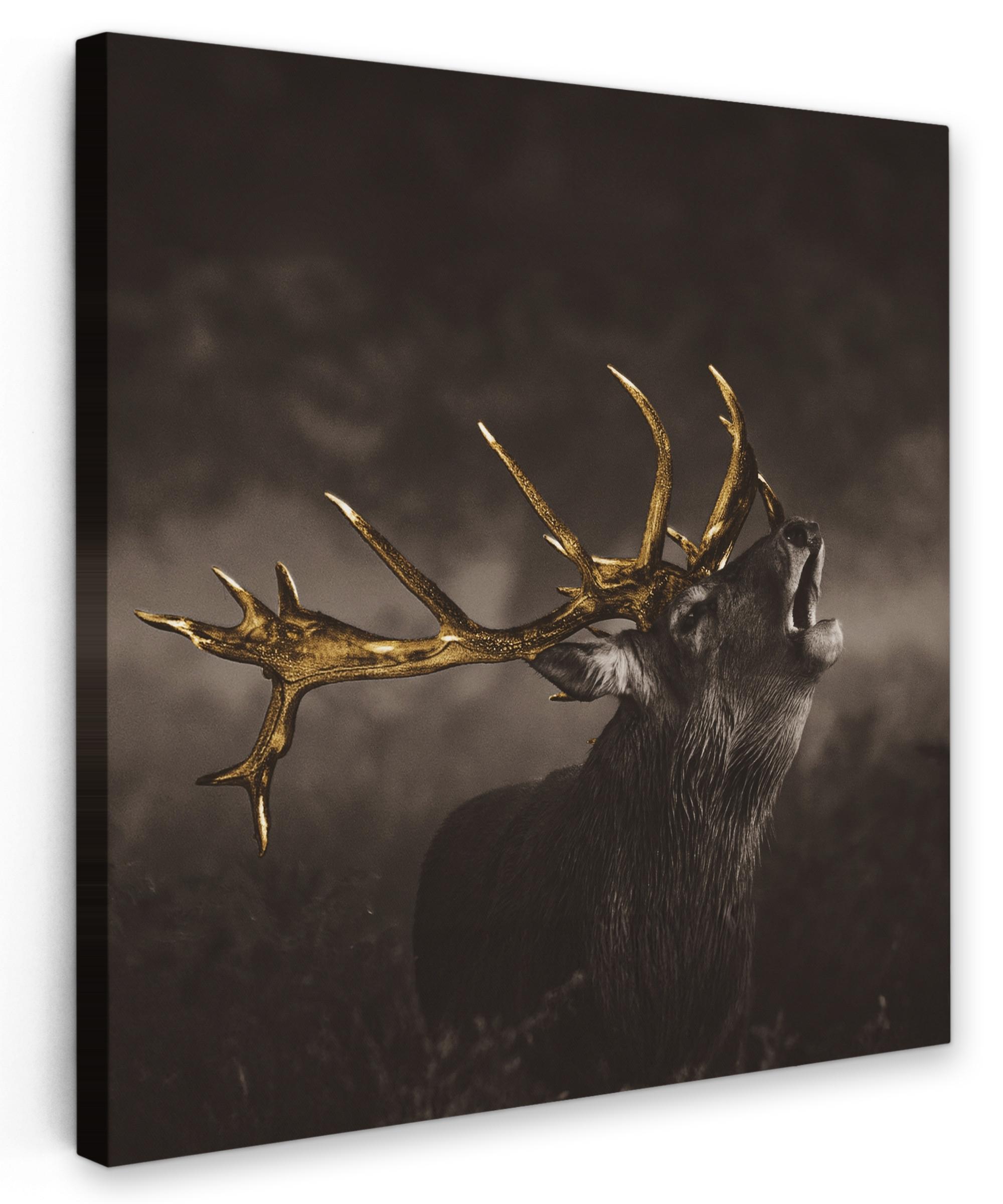 LEINWANDBILD Rotwild - Schwarz - Gold Deko Wohnzimmer 20x20 cm - Braun, Textil (20/20cm) - MuchoWow