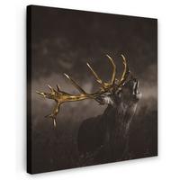 LEINWANDBILD Rotwild - Schwarz - Gold Deko Wohnzimmer 20x20 cm - Braun, Textil (20/20cm) - MuchoWow