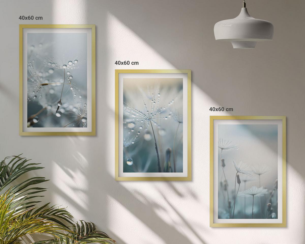BILDER SET 3er Set - 40x60 cm Goldrahmen - Tautropfen auf Löwenzahn - Goldfarben, Kunststoff (40/60cm) - TULUP