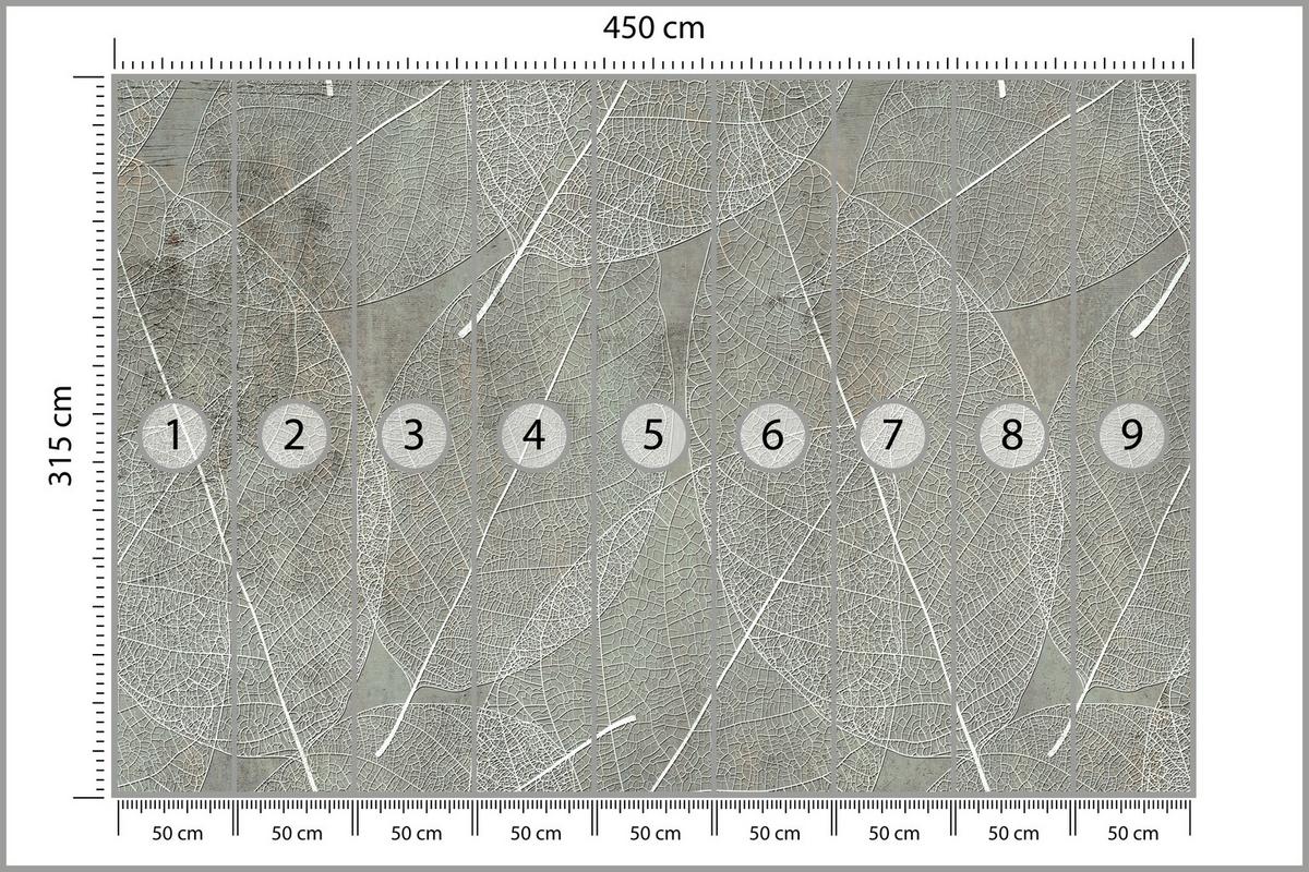 FOTOTAPETE für Schlafzimmer Weiße Blätter auf Beton 450x315 - Weiß/Grau, Papier (450/315cm) - Muralo