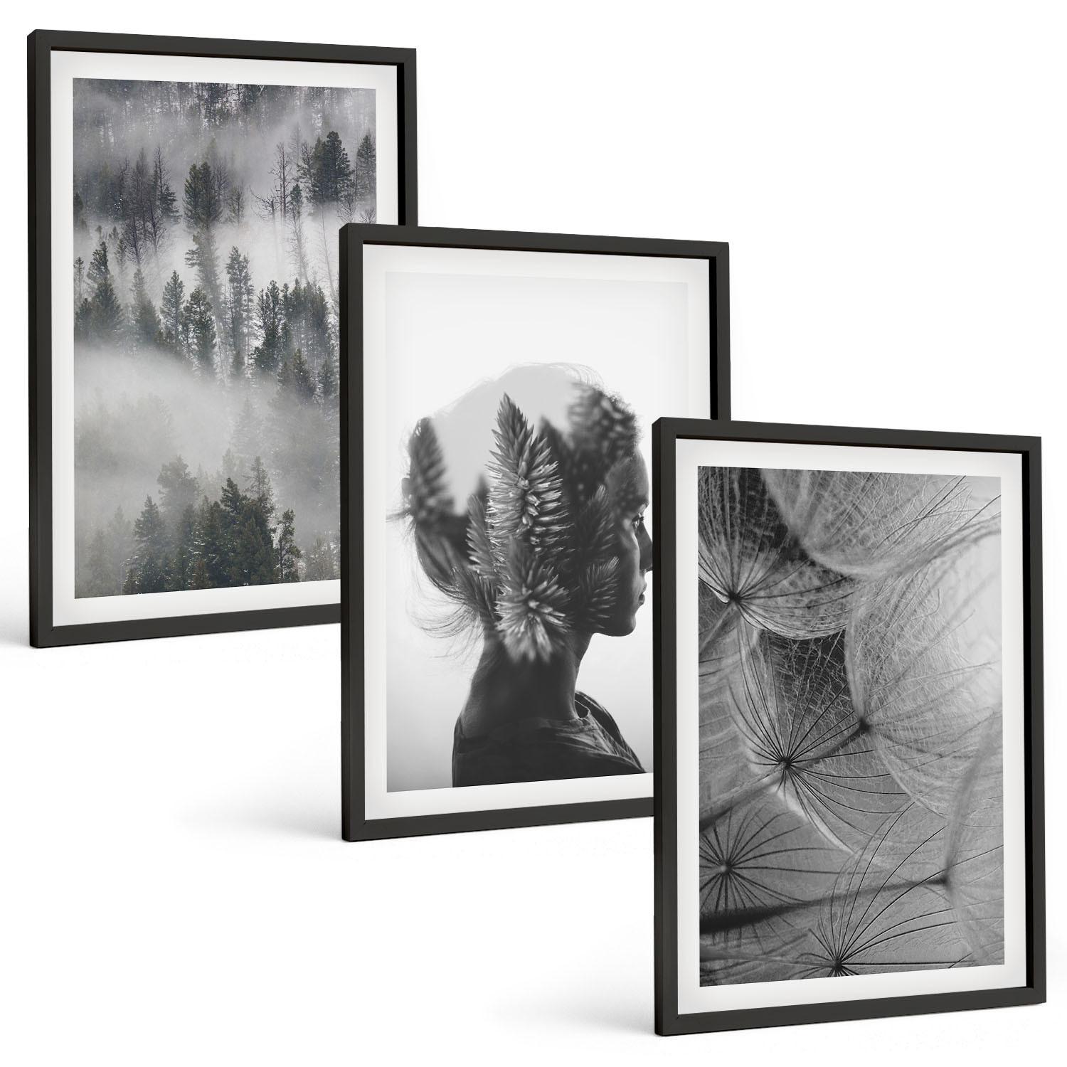 BILDER SET 3er Set - 40x60 cm Schwarzer Rahmen - Waldnebelporträt Baum Löwenzahn - Schwarz, Kunststoff (40/60cm) - TULUP