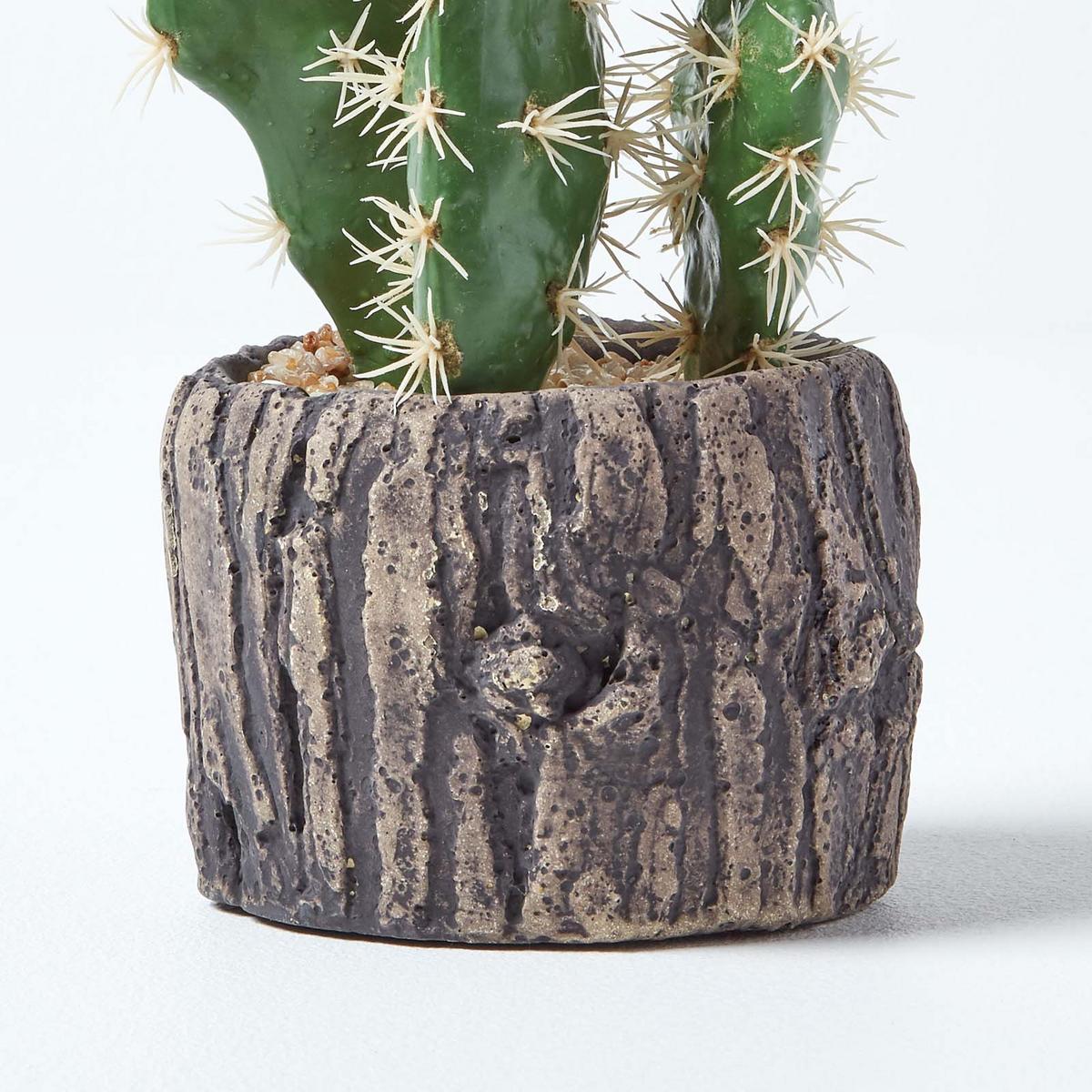 KUNSTPFLANZE Kaktus im Holzoptik-Topf, 26 cm - Grün, Kunststoff (26cm) - Homescapes