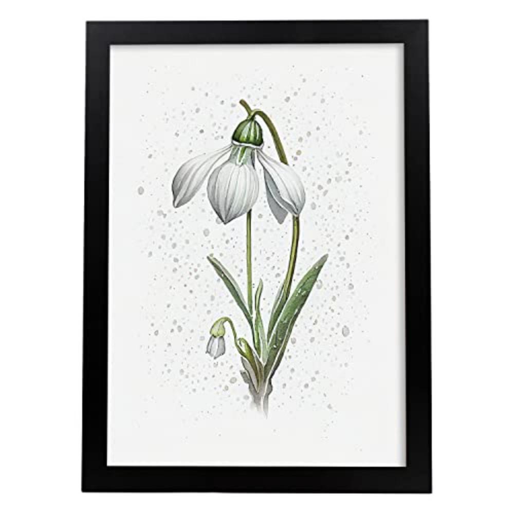 POSTER Schneeglöckchen 1 Im Nordischen Stil. A3 Rahmenlos - Klar, Papier (29.7/5/42cm) - Nacnic