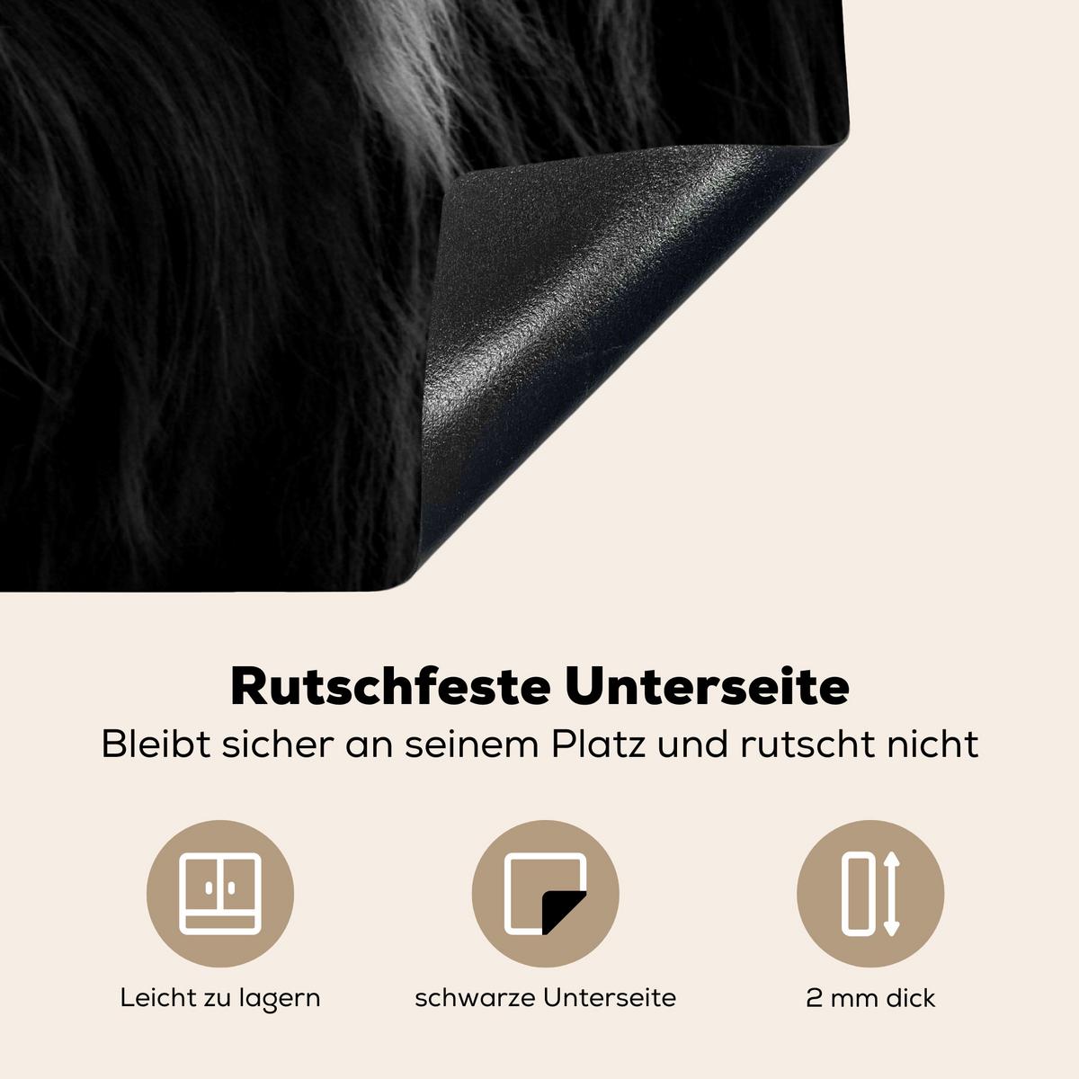 HERDABDECKPLATTE Schottischer Highlander - Kuh - Schwarz - Weiß - Tiere Induktionsschutz 91.2x52 cm - Schwarz, Kunststoff (91.2/52/0.2cm) - MuchoWow