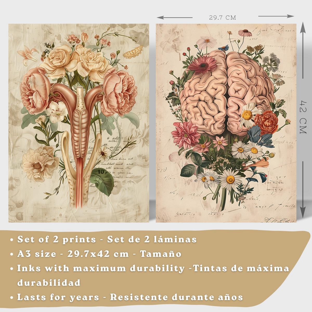 POSTER Set aus 2 Weibliche Anatomie Drucke und Wandbilder mit Gehirn und Gebärmutter Botanischer Retro Floraler Stil Größe Leichter Holzrahmen A3 - Beige, Papier (29.7/42/3cm) - Nacnic