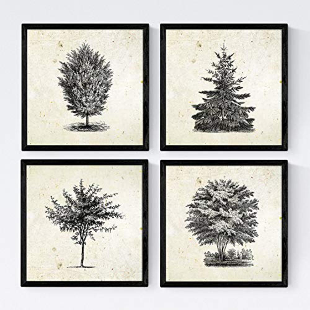POSTER Set mit 4 Blättern der Bäume in der Welt 20x20cm Rahmenlos - Klar, Papier (20/3cm) - Nacnic