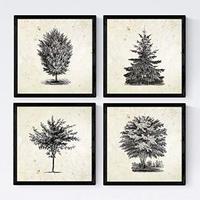 POSTER Set mit 4 Blättern der Bäume in der Welt 20x20cm Rahmenlos - Klar, Papier (20/3cm) - Nacnic