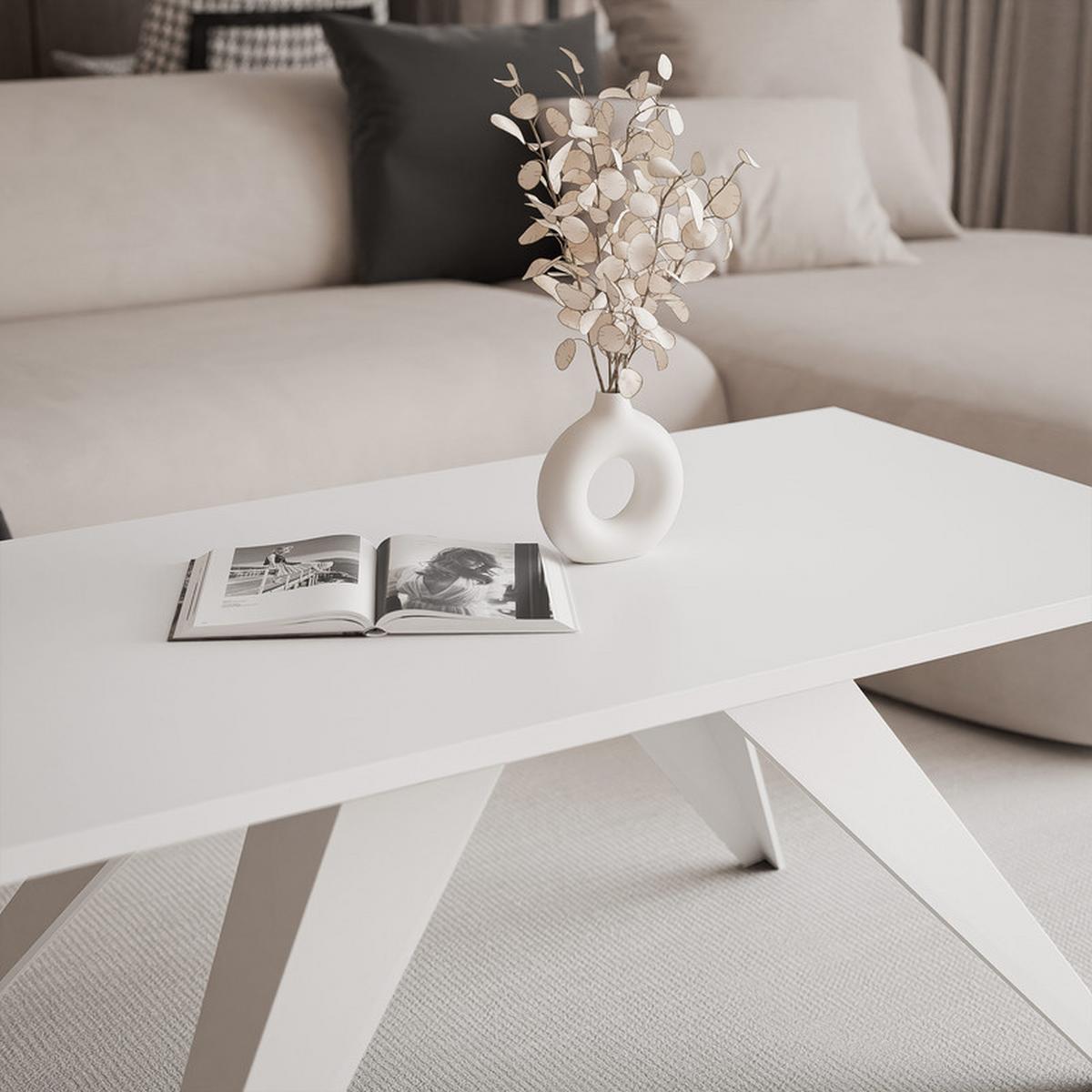 COUCHTISCH AIRA 120/60/48 cm Rechteckig, Weiß - Weiß, Metall (60/120/48cm) - Idohome