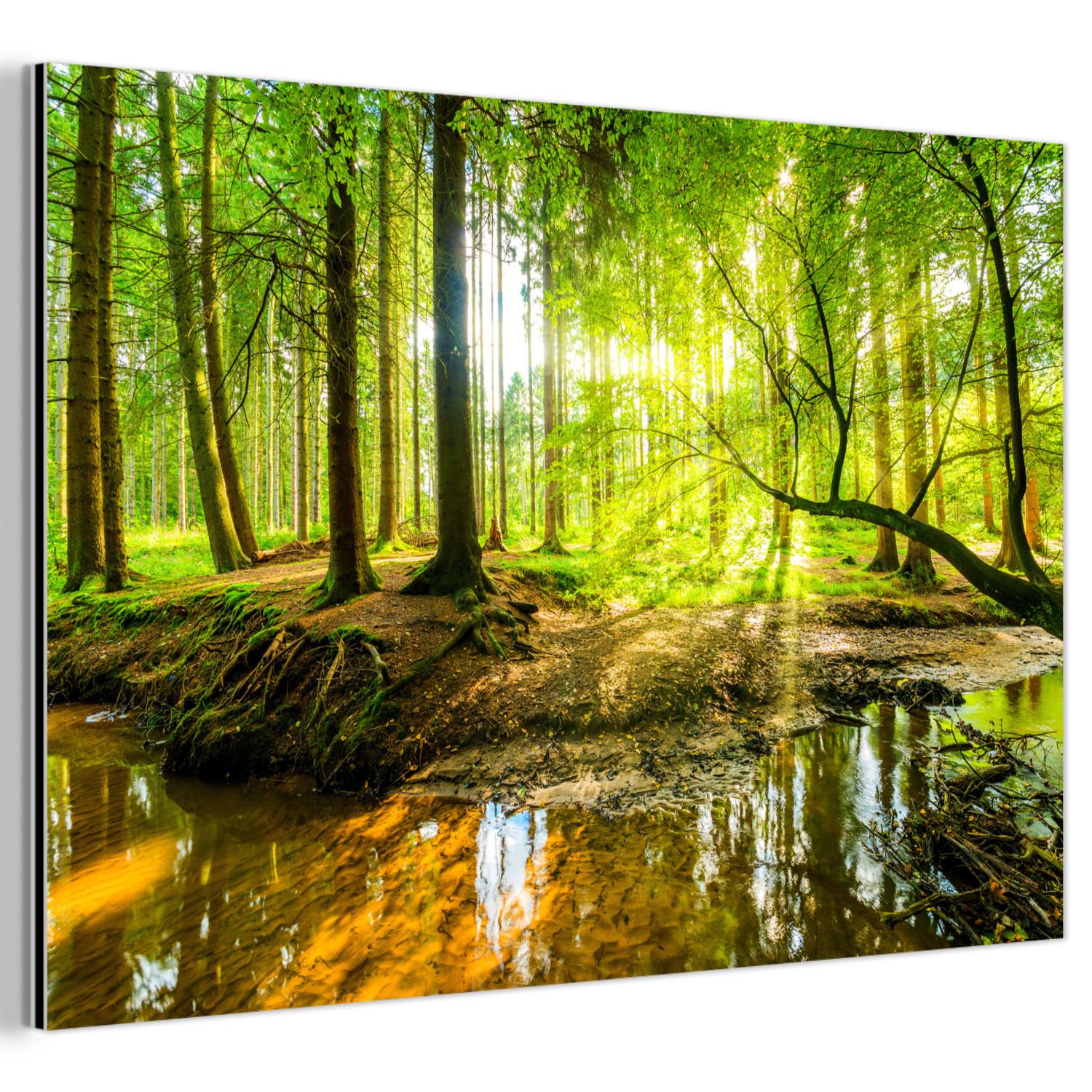 METALLBILD Wald - Landschaft - Wasser - Bäume - Sonne - Grün - Natur Wandbild 60x40 cm - Grün, Metall (60/40cm) - MuchoWow
