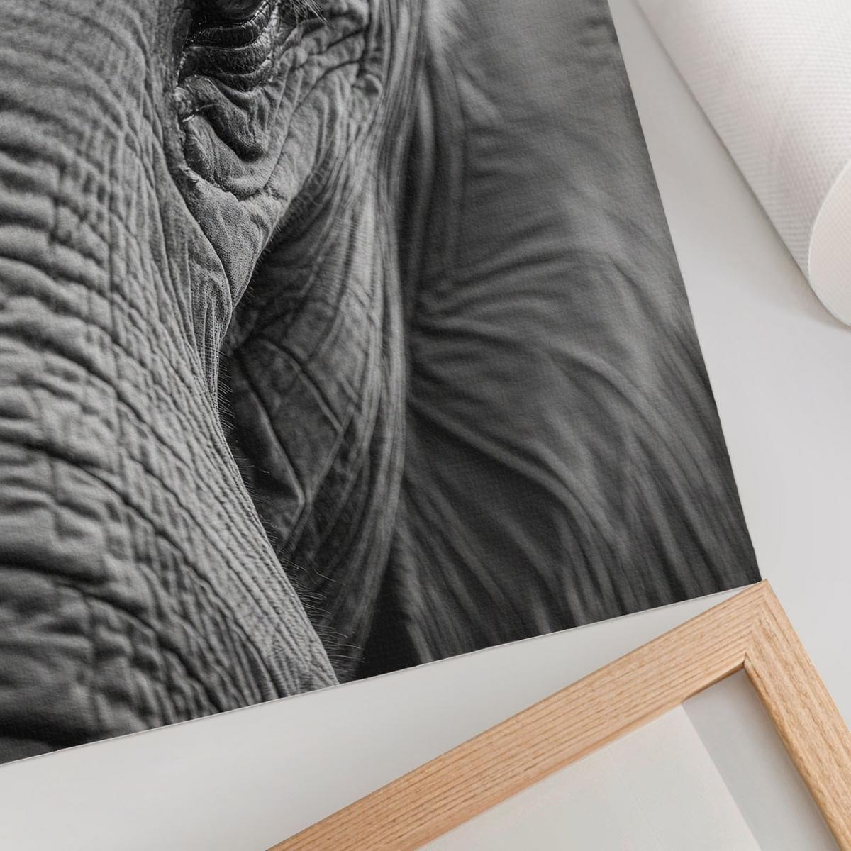 POSTER - 21x29 cm - Visual Echo - Elefantenblick - Schwarz, Textil (21/29.7/0.1cm) - TULUP