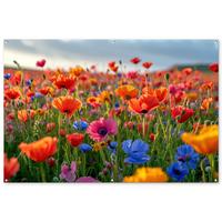 GARTENPOSTER Blumen - Mohnblumen - Farbenfroh - Natur Poster für draußen 180x120 cm - Dunkelorange, Kunststoff (180/120/0.2cm) - OnlyWow