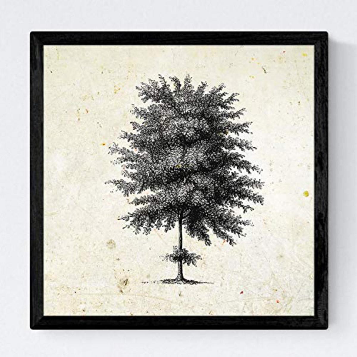 POSTER Set mit 4 Blättern der Baumstamm in feinen, weißen 20x20cm Schwarzer Rahmen - Schwarz, Papier (20/3cm) - Nacnic