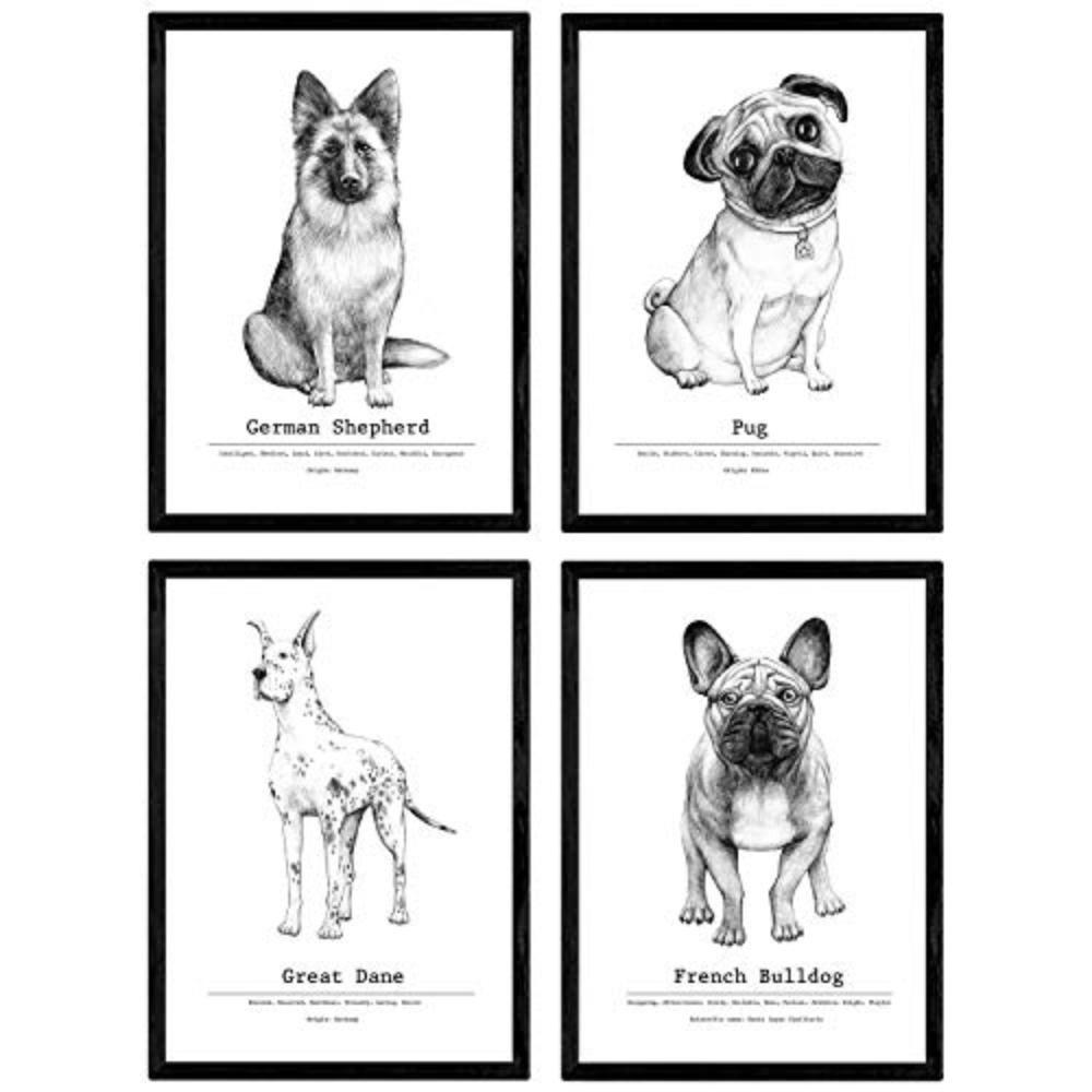 POSTER Set mit 4 Hunderasse A4 Schwarzer Rahmen - Schwarz, Papier (29.7/3cm) - Nacnic