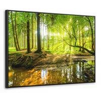 LEINWAND Bilder mit Rahmen - Wald - Landschaft - Wasser - Bäume - Sonne - Grün - Natur - 80x60 - Grün, Textil (80/60cm) - MuchoWow