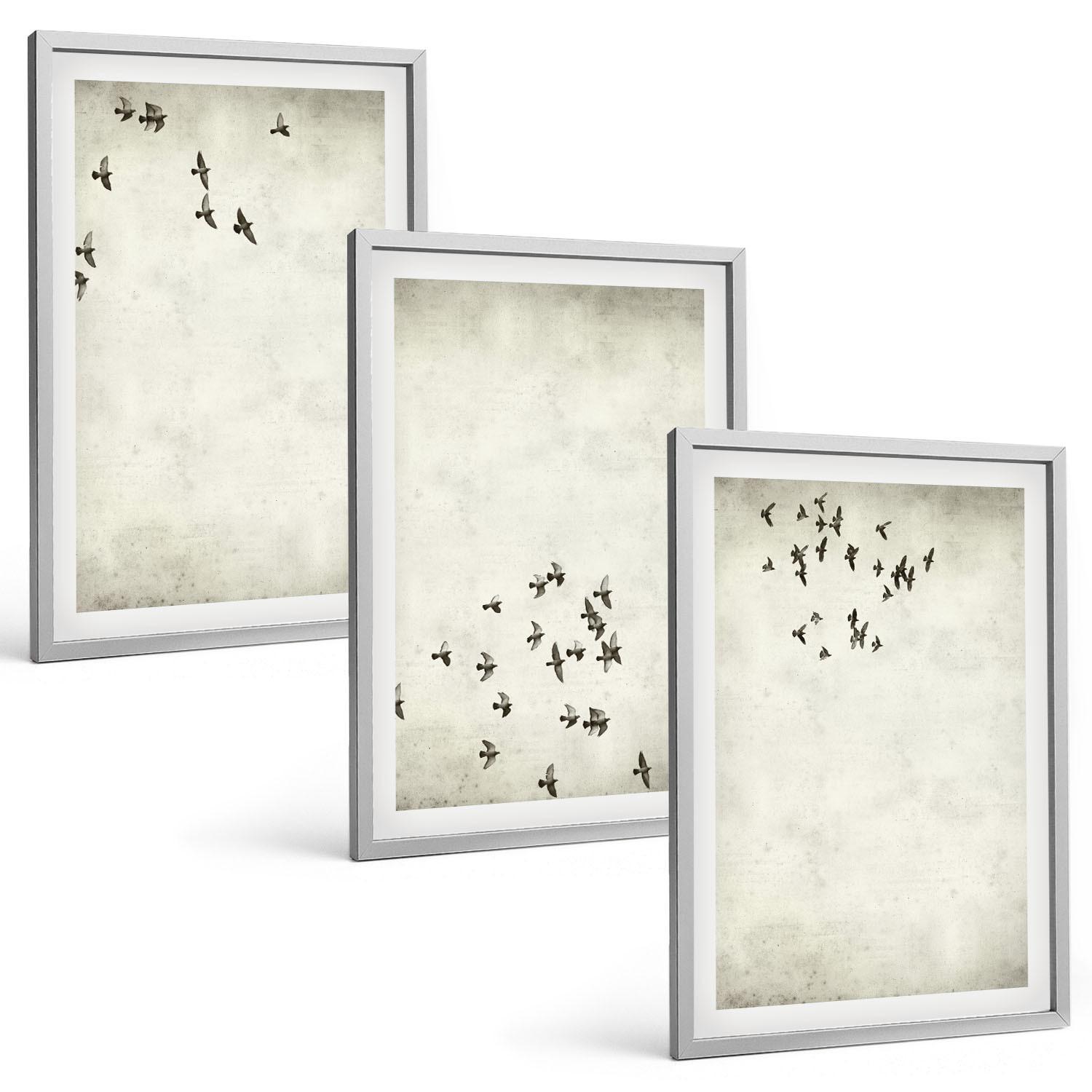 BILDER SET 3er Set - 40x60 cm Silberner Rahmen - Minimalistische Vogelmalerei - Silberfarben, Kunststoff (40/60cm) - TULUP