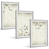 BILDER SET 3er Set - 40x60 cm Silberner Rahmen - Minimalistische Vogelmalerei - Silberfarben, Kunststoff (40/60cm) - TULUP