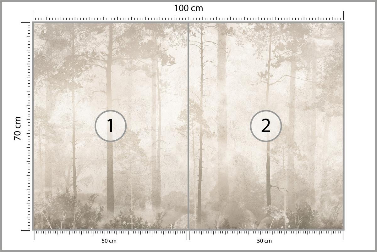 FOTOTAPETE für Wohnzimmer Nebliger Wald Vintage Bäume 100x70 - Beige/Braun, Papier (100/70cm) - Muralo
