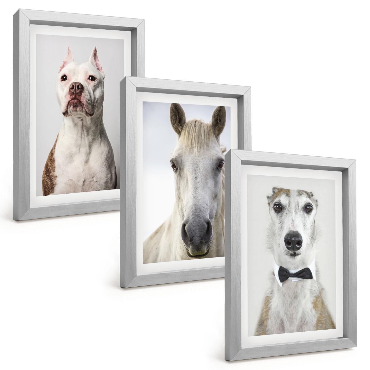 BILDER SET 3er Set - 20x30 cm Silberner Rahmen - Elegante Porträts von Hunden und Pferden - Silberfarben, Kunststoff (20/30cm) - TULUP