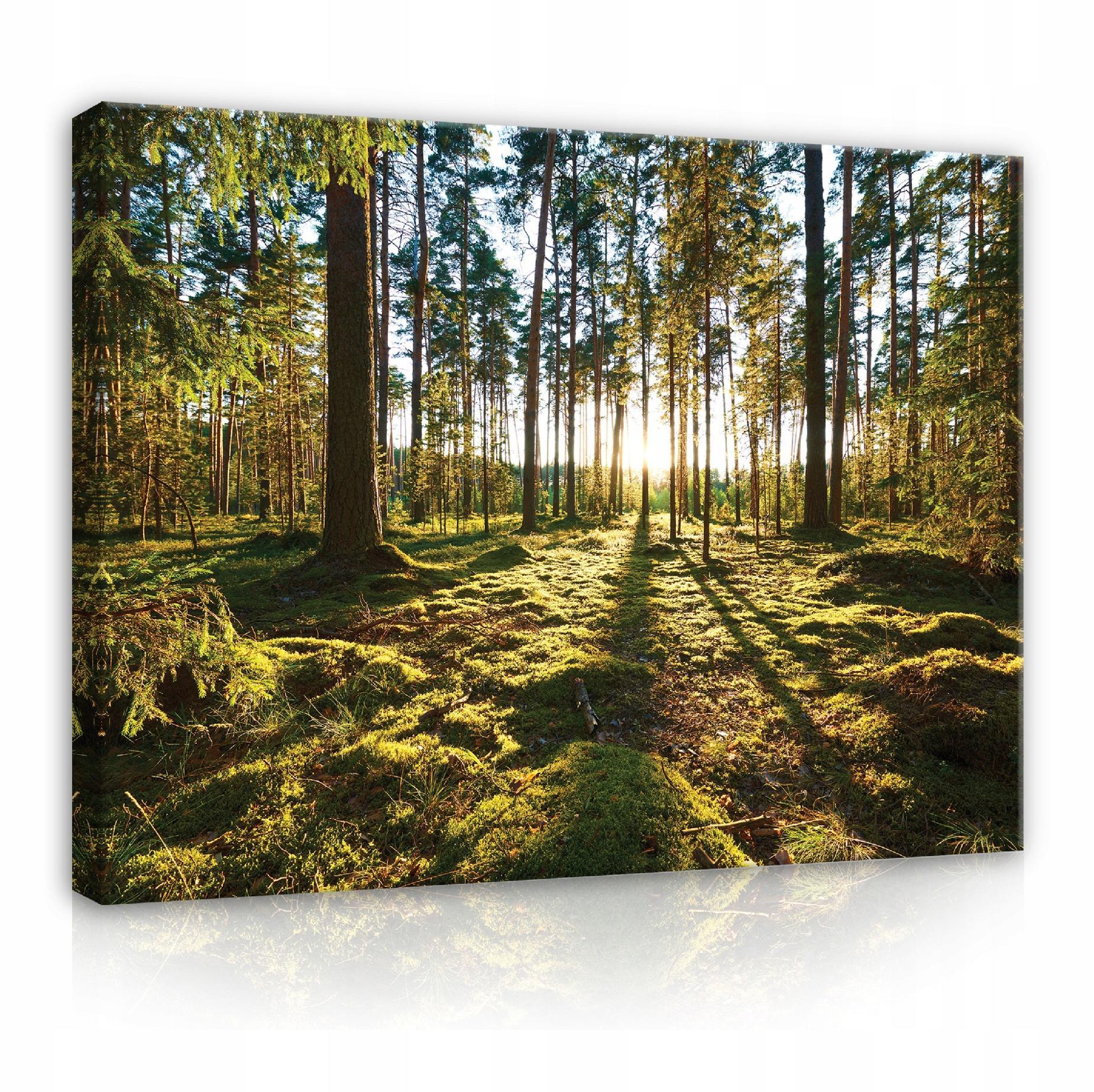 LEINWANDBILDER Wald Natur Wohnzimmer 120x80 - Multicolor, Holzwerkstoff (120/80cm) - Wallarena