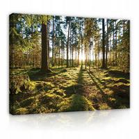 LEINWANDBILDER Wald Natur Wohnzimmer 120x80 - Multicolor, Holzwerkstoff (120/80cm) - Wallarena