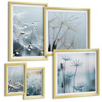BILDER SET 5er Set - 50x50 cm & 20x30 cm & 40x60 cm Goldrahmen - Wassertropfen auf Löwenzahnsprossen - Goldfarben, Kunststoff (40/60cm) - TULUP