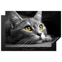HERDABDECKPLATTE Katze - Grau - Tiere - Katze Ceranfeldabdeckung 80x52 cm - Grau, Kunststoff (80/52/0.2cm) - MuchoWow